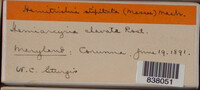 Image Associated With the Occurence